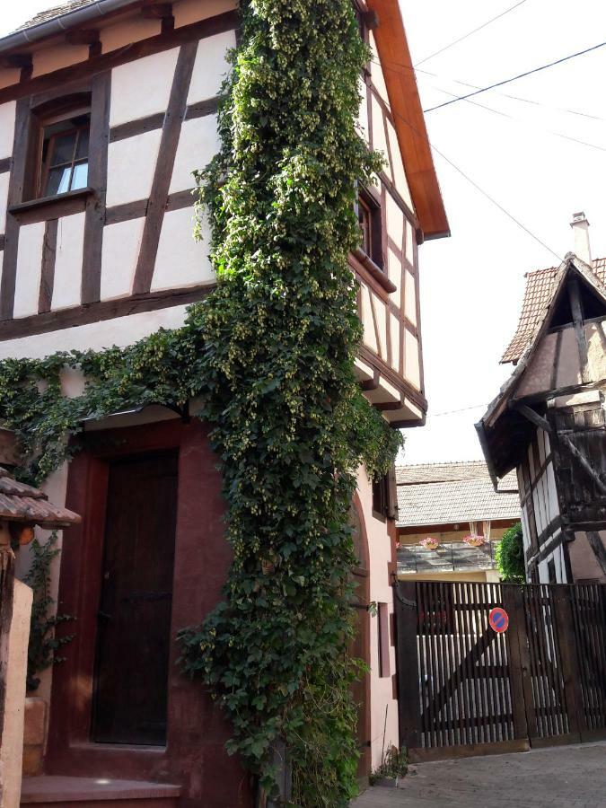 Comme Une Tour Dans Le Centre Historique Bouxwiller  外观 照片